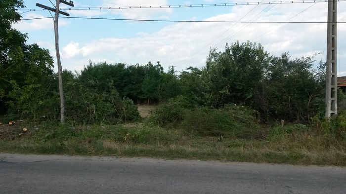 20150714_181748 - my new project