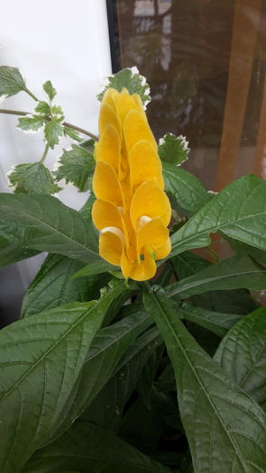 20150714_114029