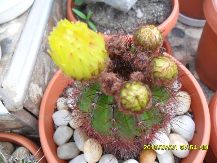 SAM_0455