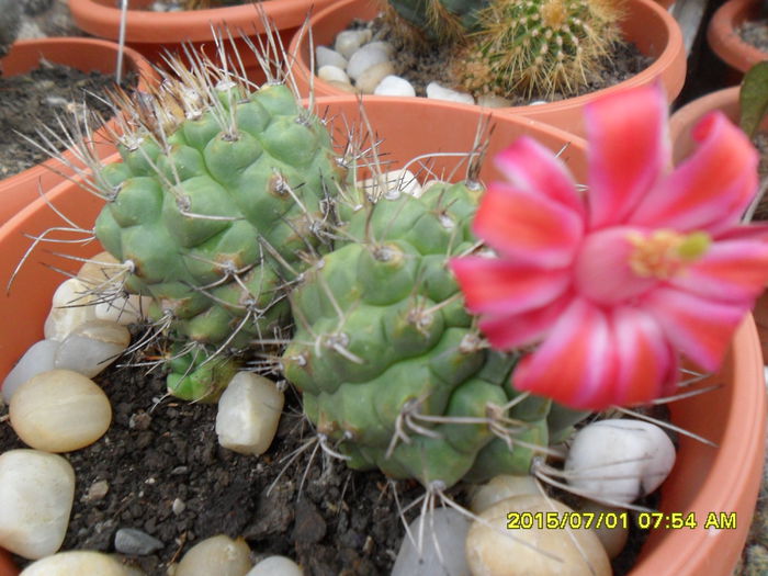 SAM_0456