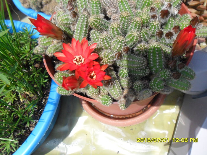 SAM_0463