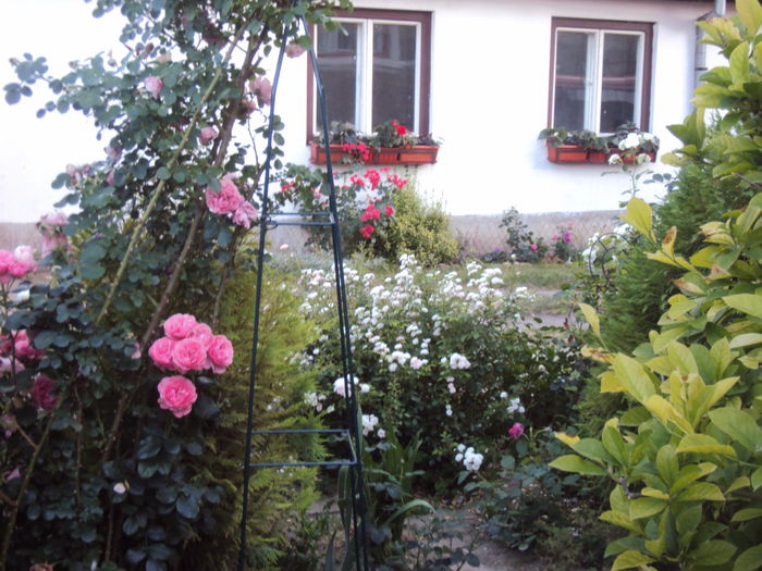 DSC00306