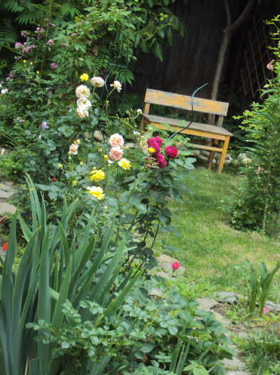 DSC00544