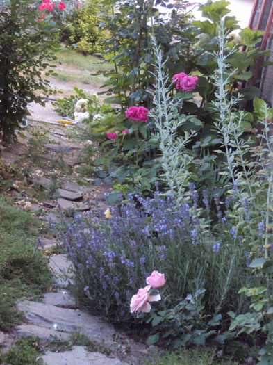 DSC00261