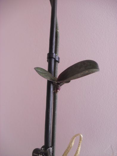cimg7010