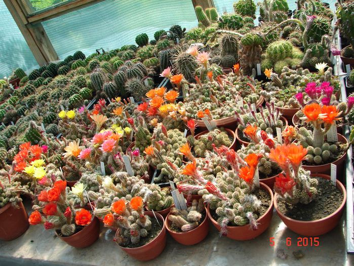 DSC09011