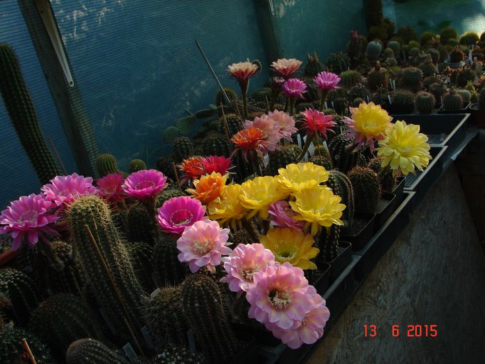 DSC09069
