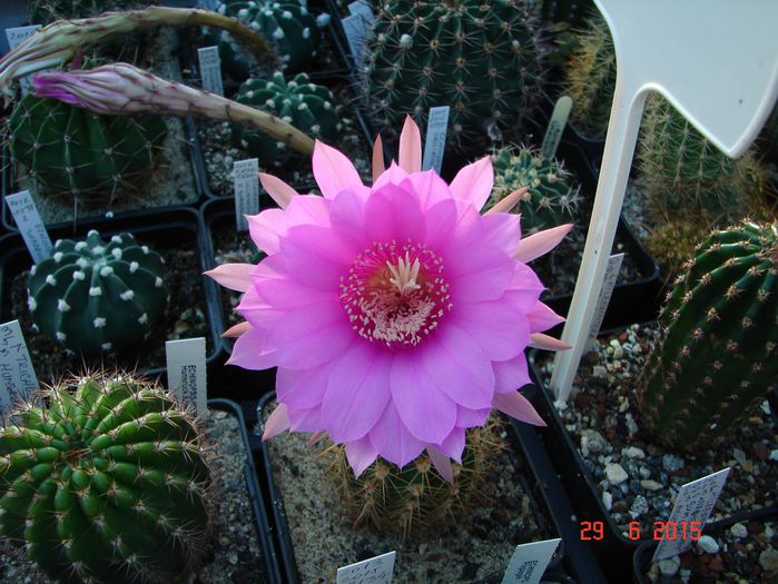 DSC09169