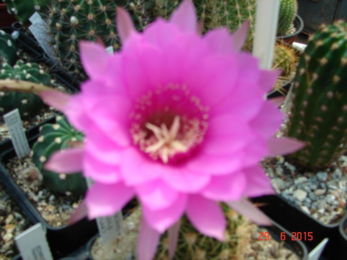 DSC09180