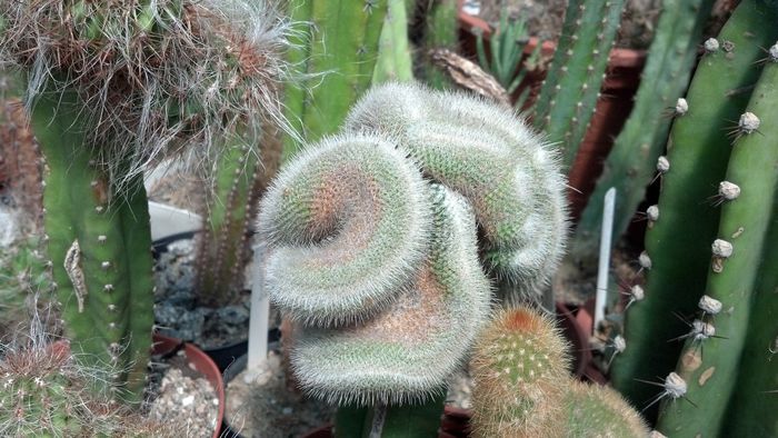 IMG_20150702_150303_074