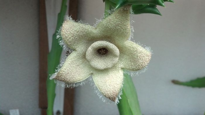 IMG_20150702_150404_267