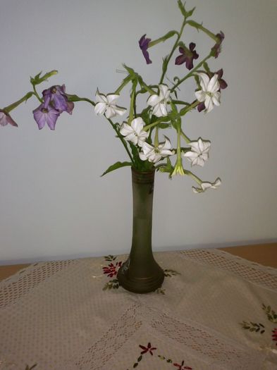 CAM01017 - Vaza cu flori