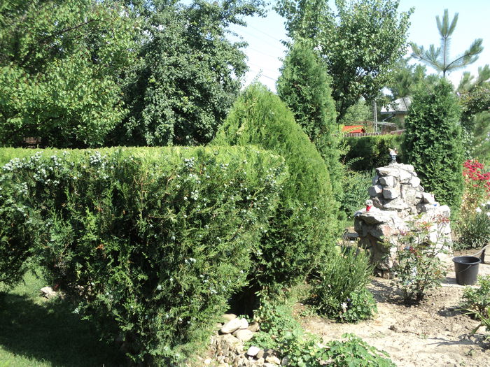 DSC02896