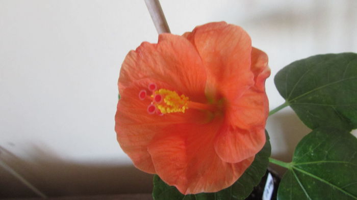 042