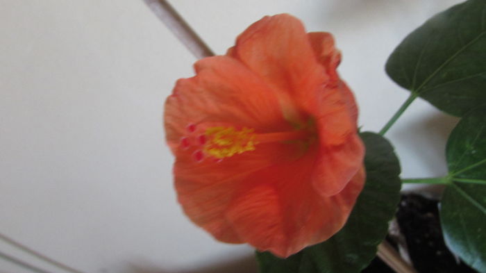 035