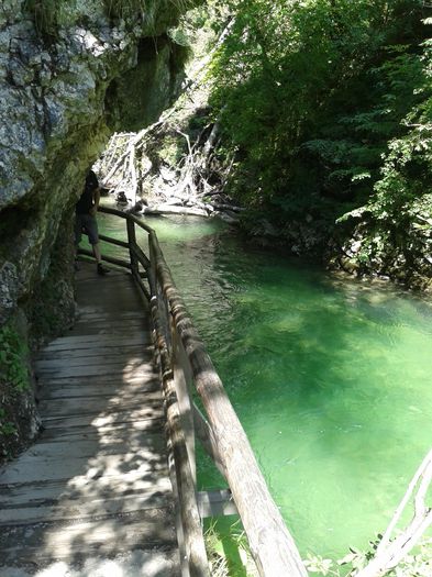 20150710_105428 - 2015 Slovenia Elvetia Lichtenstein Germania Ungaria