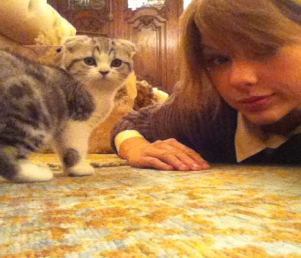 ͡͡ ͡͡ ͡͡ ͡͡ ͡͡ Meredith ͡͡ ͡͡ ͡͡ ͡͡ ͡͡ || 06.16.2015