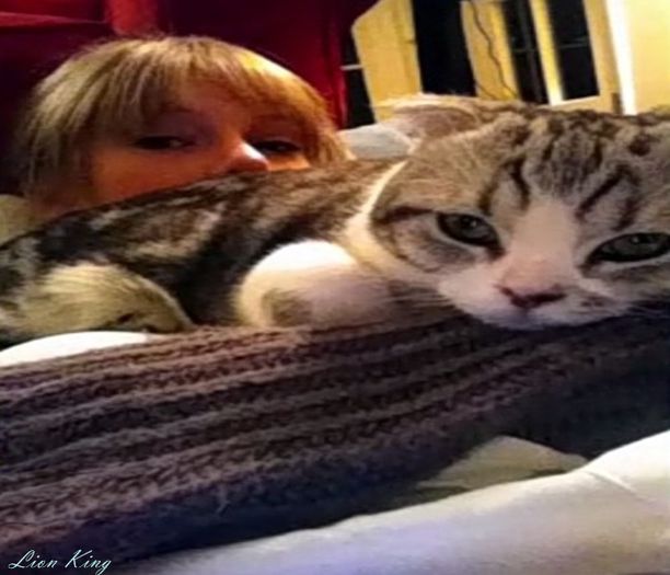 ͡͡ ͡͡ ͡͡ ͡͡ ͡͡ Meredith ͡͡ ͡͡ ͡͡ ͡͡ ͡͡ || 06.17.2015