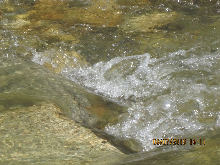 IMG_3653 - Cheile Sohodolului in iulie 2015