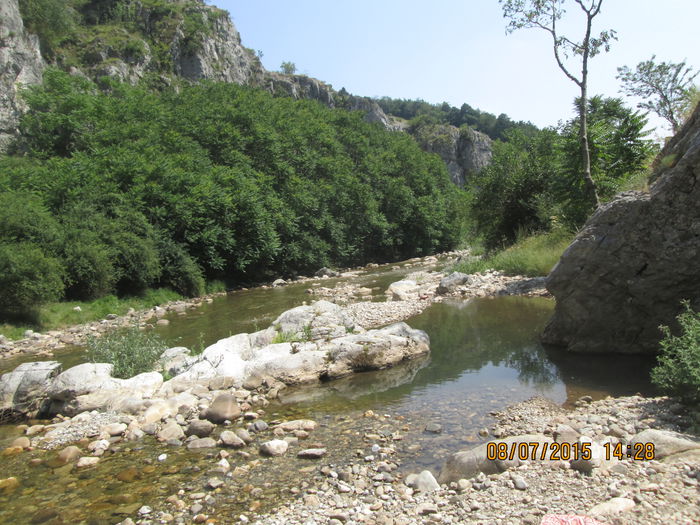 IMG_3669 - Cheile Sohodolului in iulie 2015