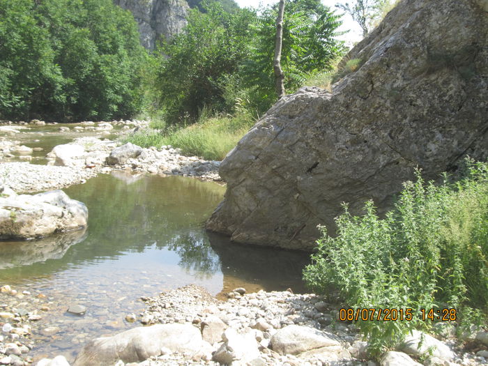 IMG_3670 - Cheile Sohodolului in iulie 2015