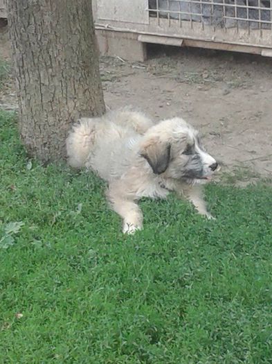 11733368_430009077199199_642380493_n