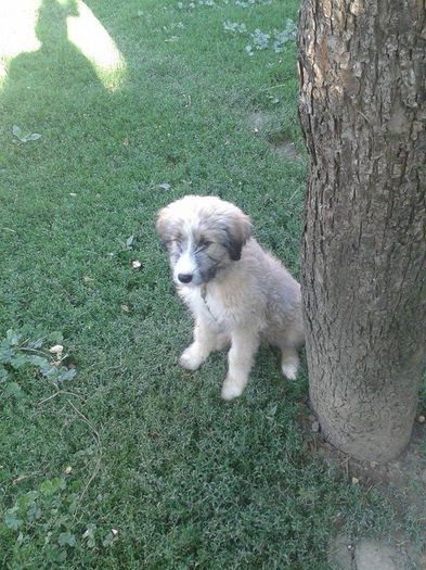 11749551_430009133865860_290157603_n