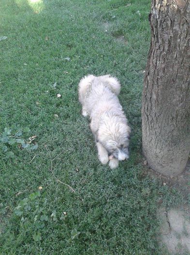 11749730_430009150532525_1377566959_n