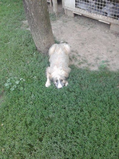 11751305_430009047199202_581744842_n