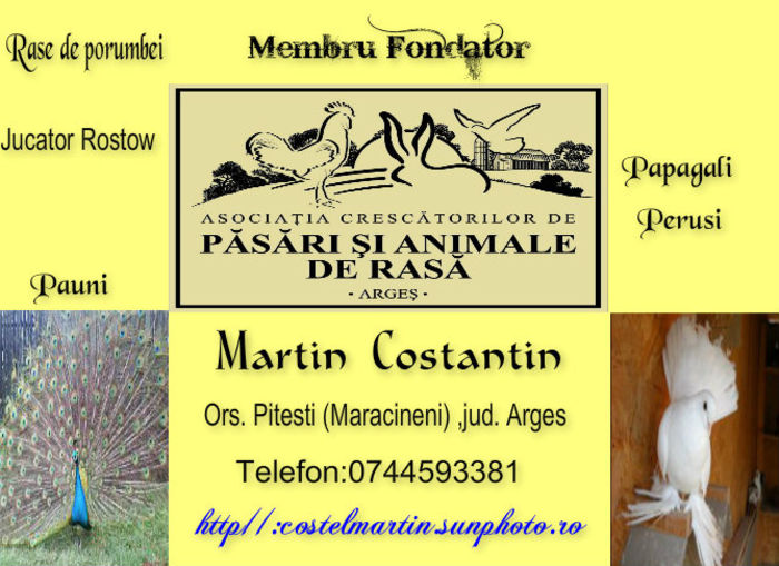 Martin Constantin