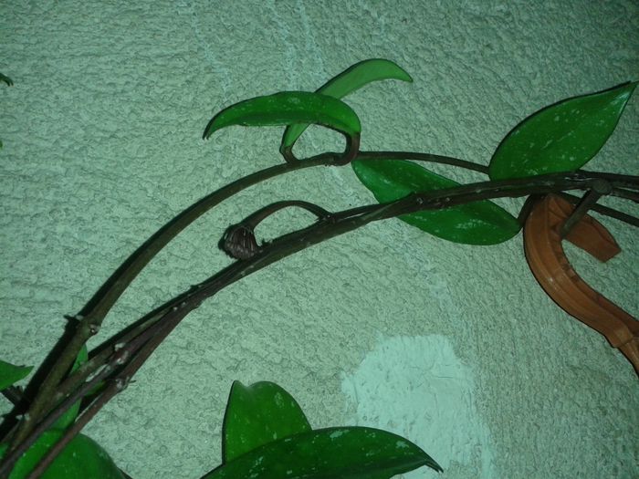 20150717_233755