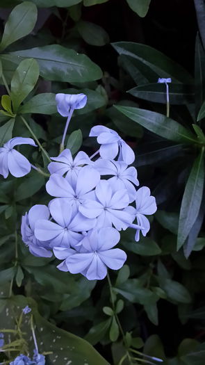 20150717_203244