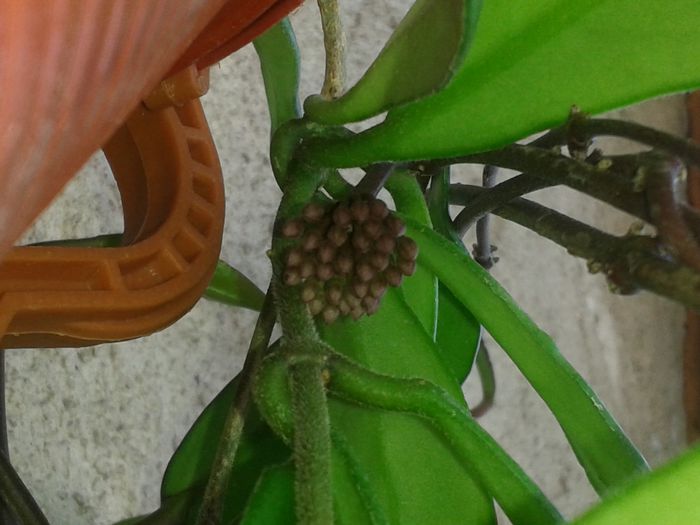 20150718_140151