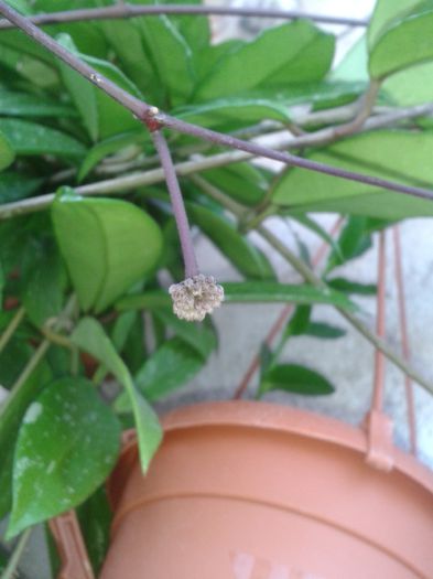 20150718_140137