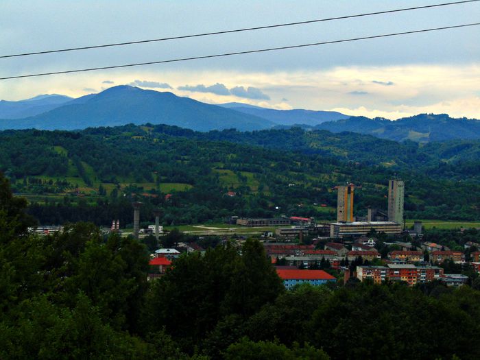 DSC08617 - Poze natura