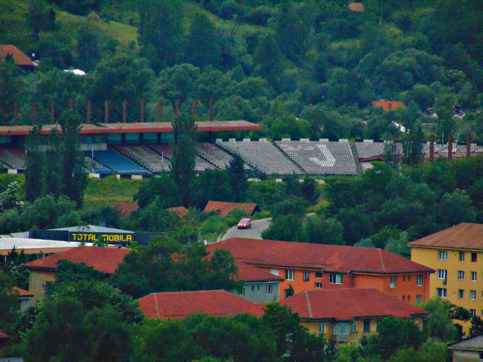 DSC08646 - Poze natura