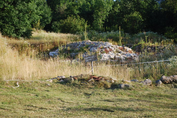 DSC_1551