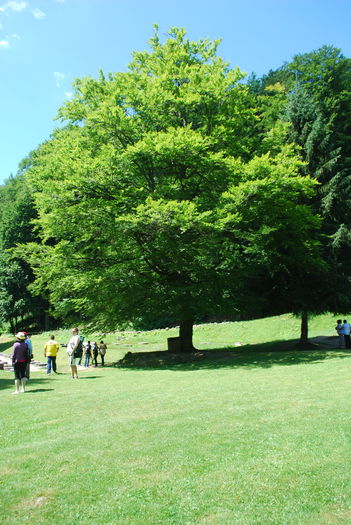 DSC_1642