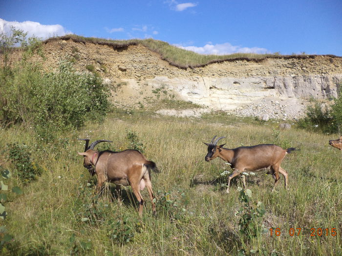 Se vad doua straturi de sol