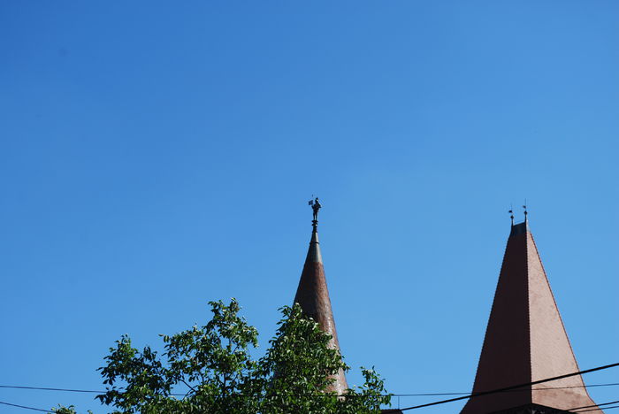 DSC_1798