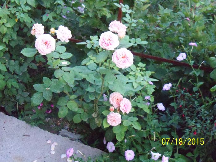 100_3191