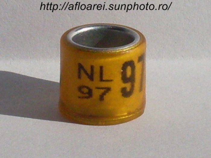 nl 97 - OLANDA GOLD