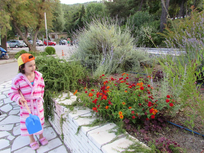 IMG_0514 - Makryammos Bungalows Thassos Grecia