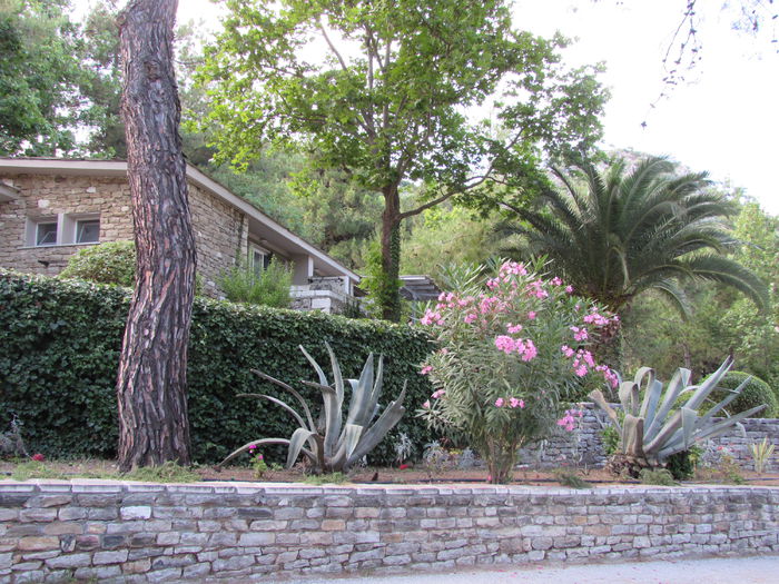 IMG_0531 - Makryammos Bungalows Thassos Grecia