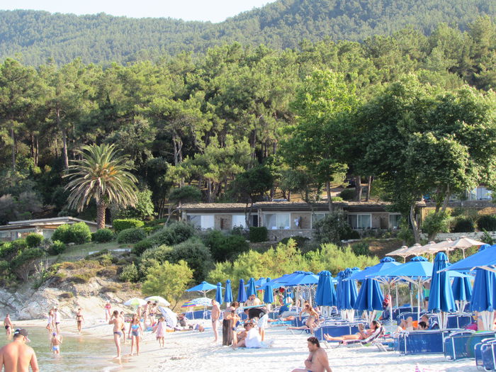 IMG_0808 - Makryammos Bungalows Thassos Grecia