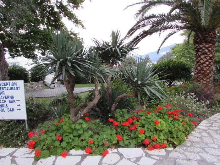 IMG_0923 - Makryammos Bungalows Thassos Grecia
