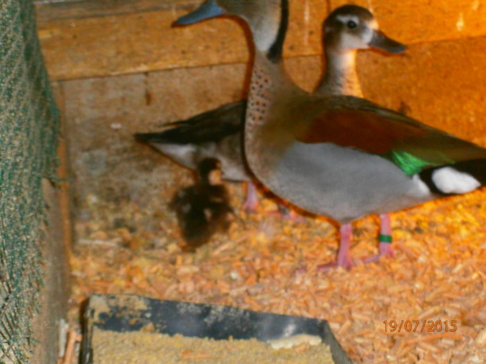 pentru inceput..e bine