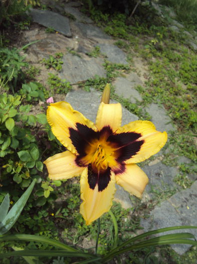 DSC00989