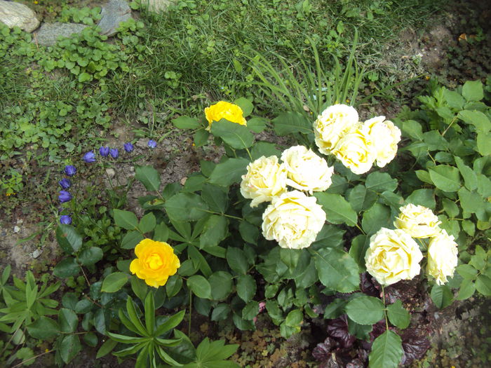 DSC00997
