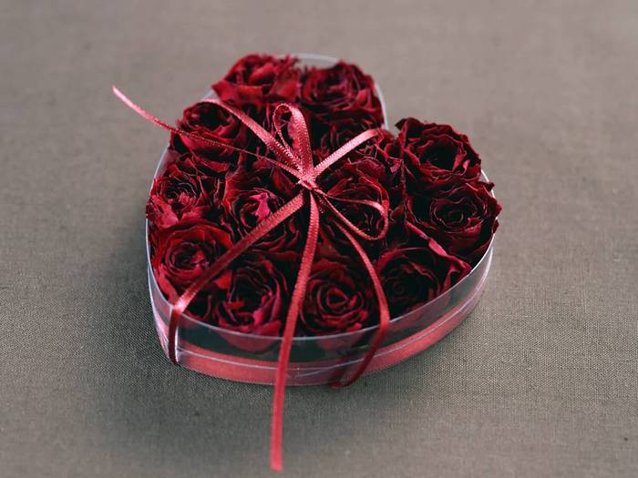 Red roses - Valentines day